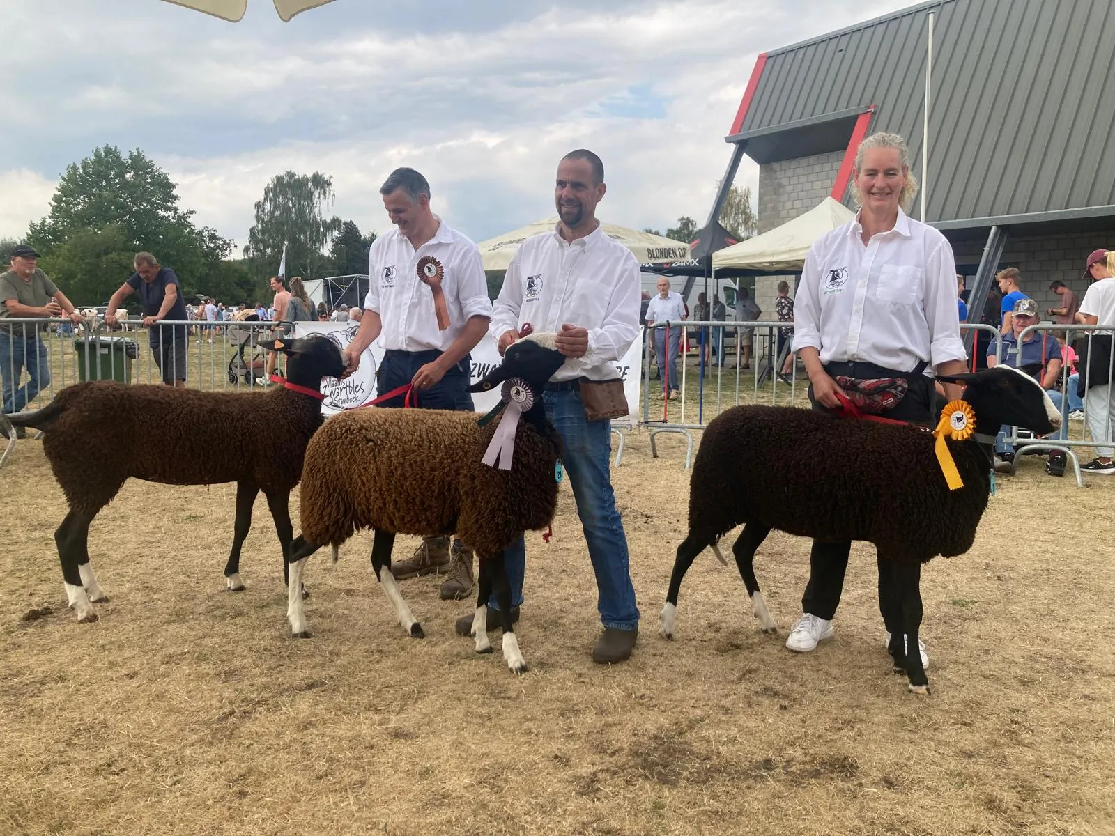 Prijskamp zwartbles Pulderbos - 2026